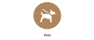 Pets Pets
